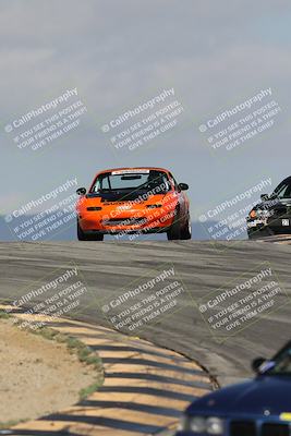media/Oct-11-2025-Lucky Dog Racing (Sat) [[f5b53147c4]]/2-First Stint/2-Turns 9 and 10/